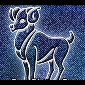 Meet your Posher, Andres